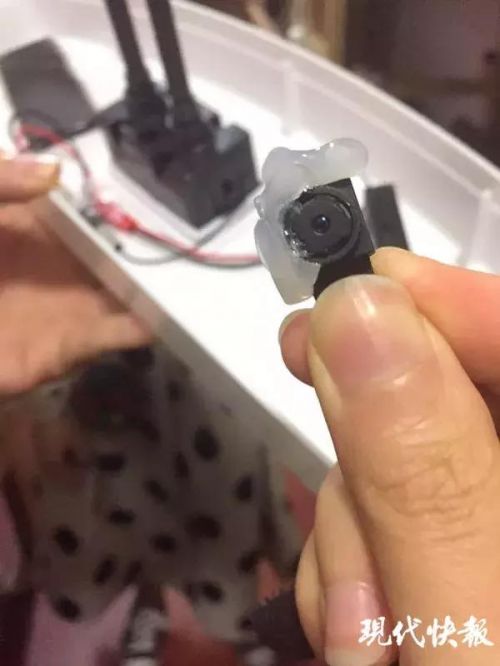 
防窃听干扰器正对洗澡区！女生住旅店发现针孔摄像头，更可