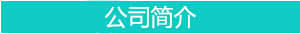 公司简介